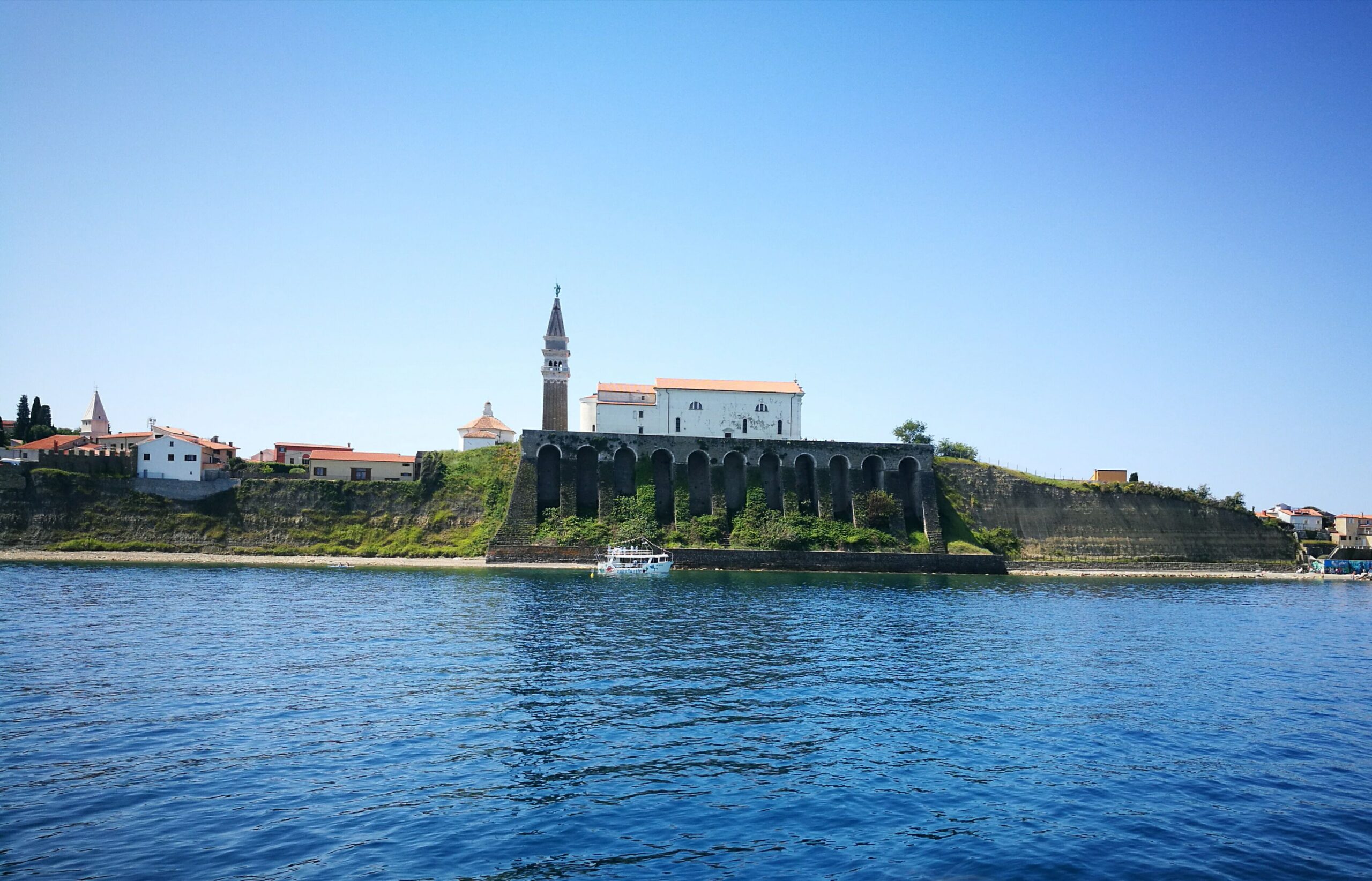 dav Piran