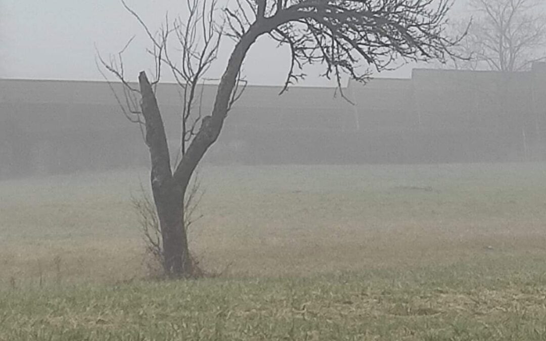Pohod ob stari želežniški progi na Vrhniko.