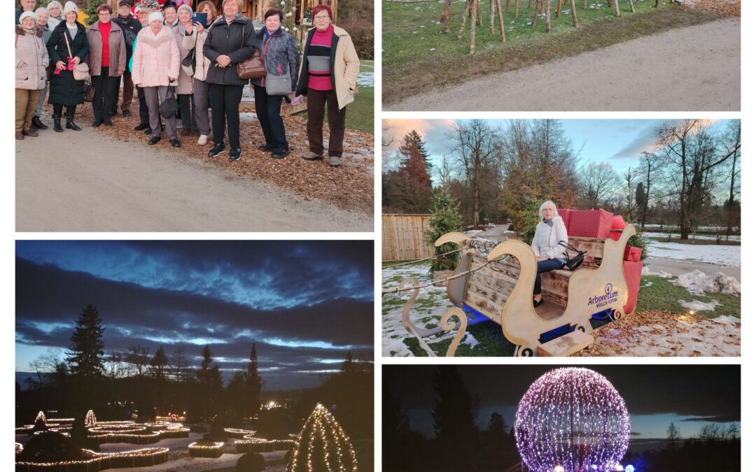 Večerni sprehod med lučkami v Arboretumu Volčji Potok – nepozabno doživetje ob zaključku leta.