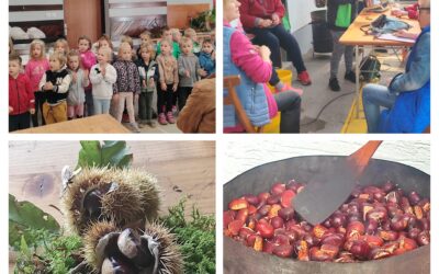 Kostanjev piknik – praznik jesenskega druženja